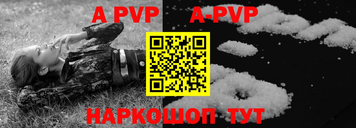 Alfa_PVP СК КРИС Обь