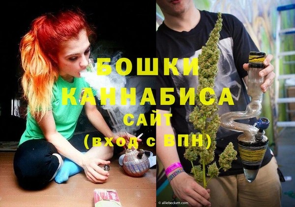 метадон Белокуриха