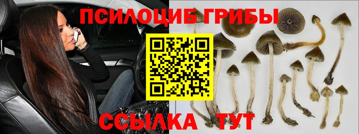 Псилоцибиновые грибы MAGIC MUSHROOMS Обь