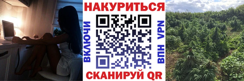 наркотики  Обь  Каннабис сатива 
